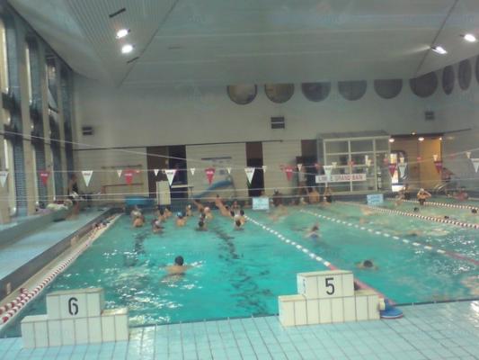 Piscine Cour des Lions &agrave; Paris