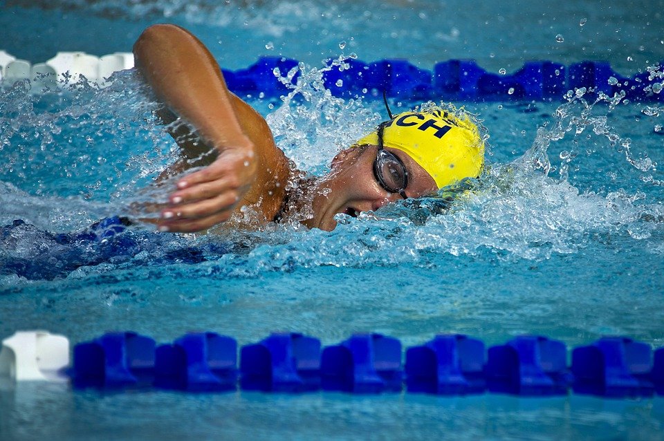 Natation, Nageur, Femmes, Course, Piscine, L'Eau, Lane