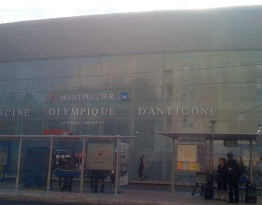 Piscine Olympique d'Antigone à Montpellier. photo 4