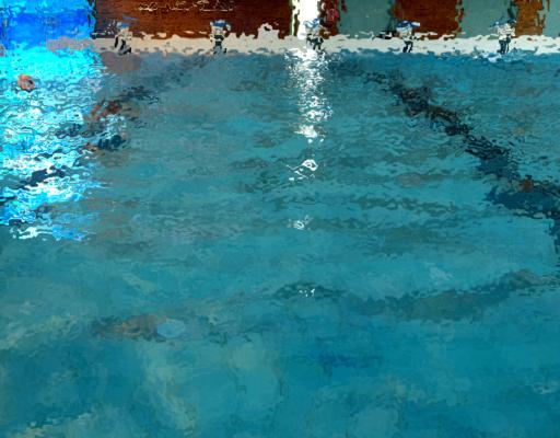 Piscine Aqua Sud à La Seyne-sur-Mer. photo 6