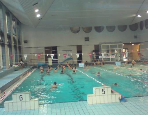 Piscine Cour des Lions à Paris. photo 3