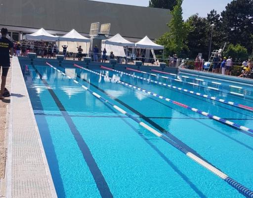 Piscine des Migneaux à Poissy. photo 4