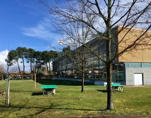 Piscine Olympique Villenave d'Ornon à Villenave d'Ornon. photo 2