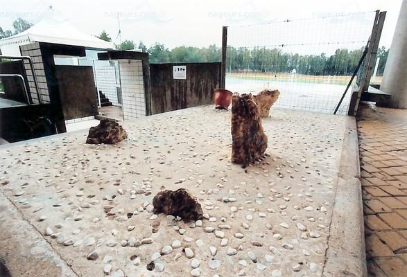 Piscine de la base de Loisirs de St Quentin en Yvelines